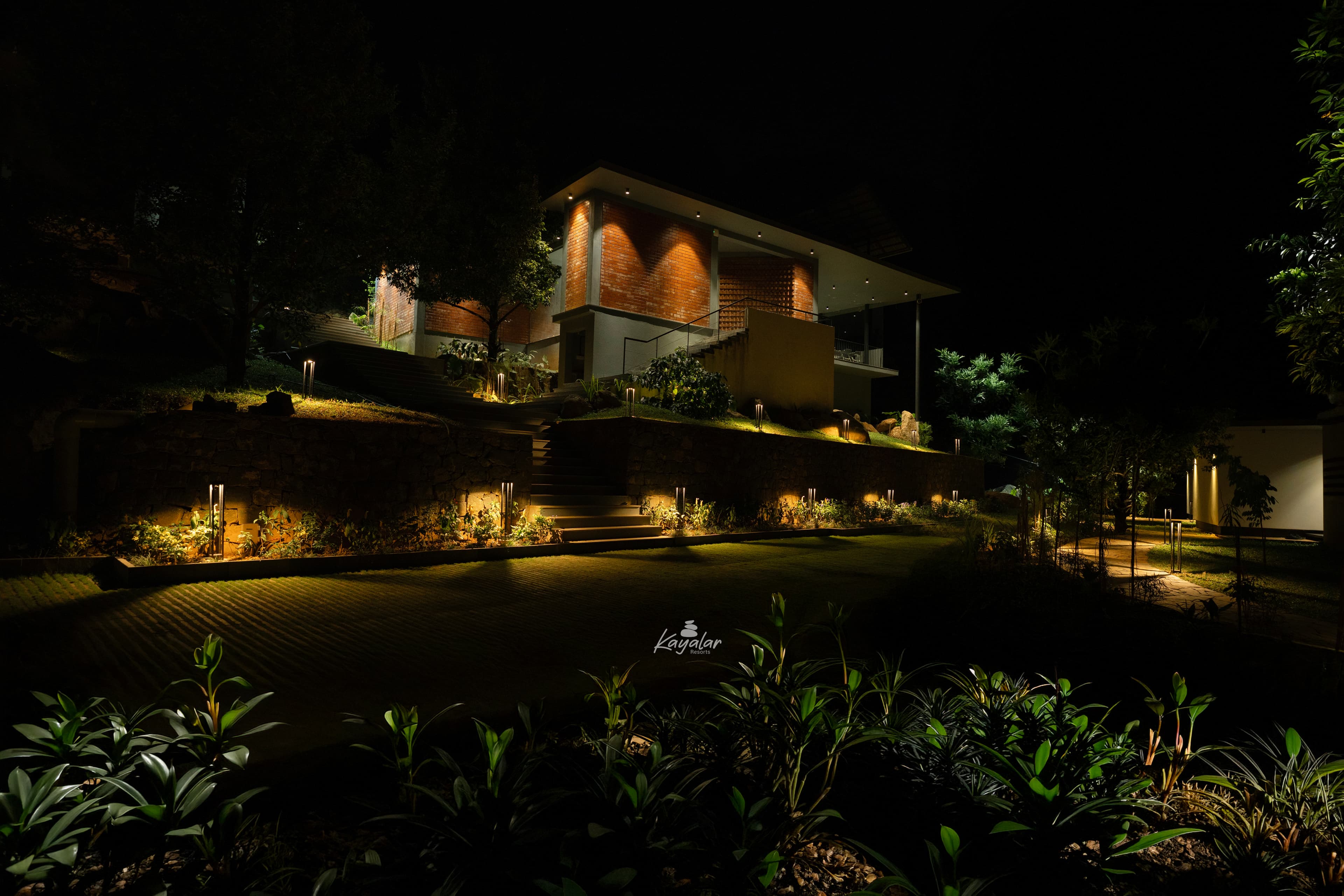 Walkway through garden